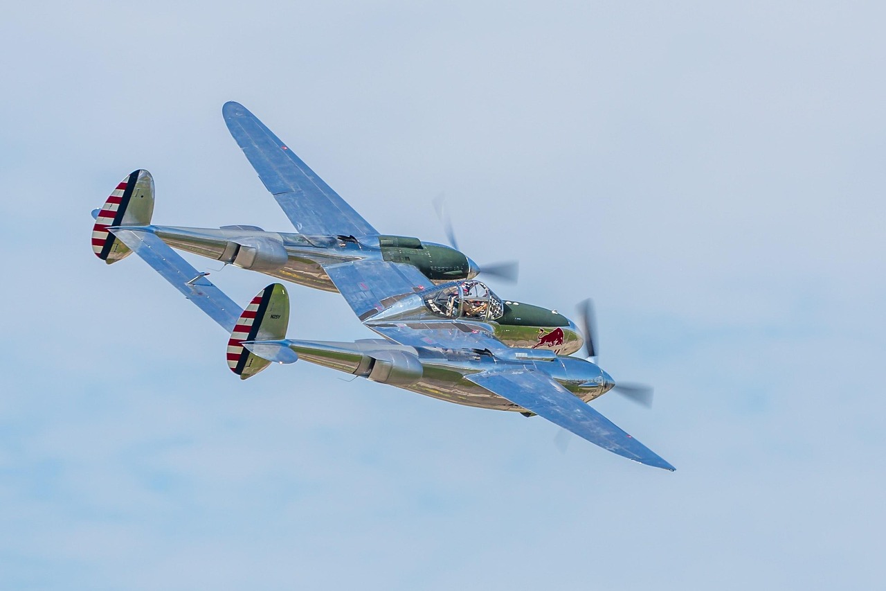 网站代实名实名账号：香水百合花种子购买平台