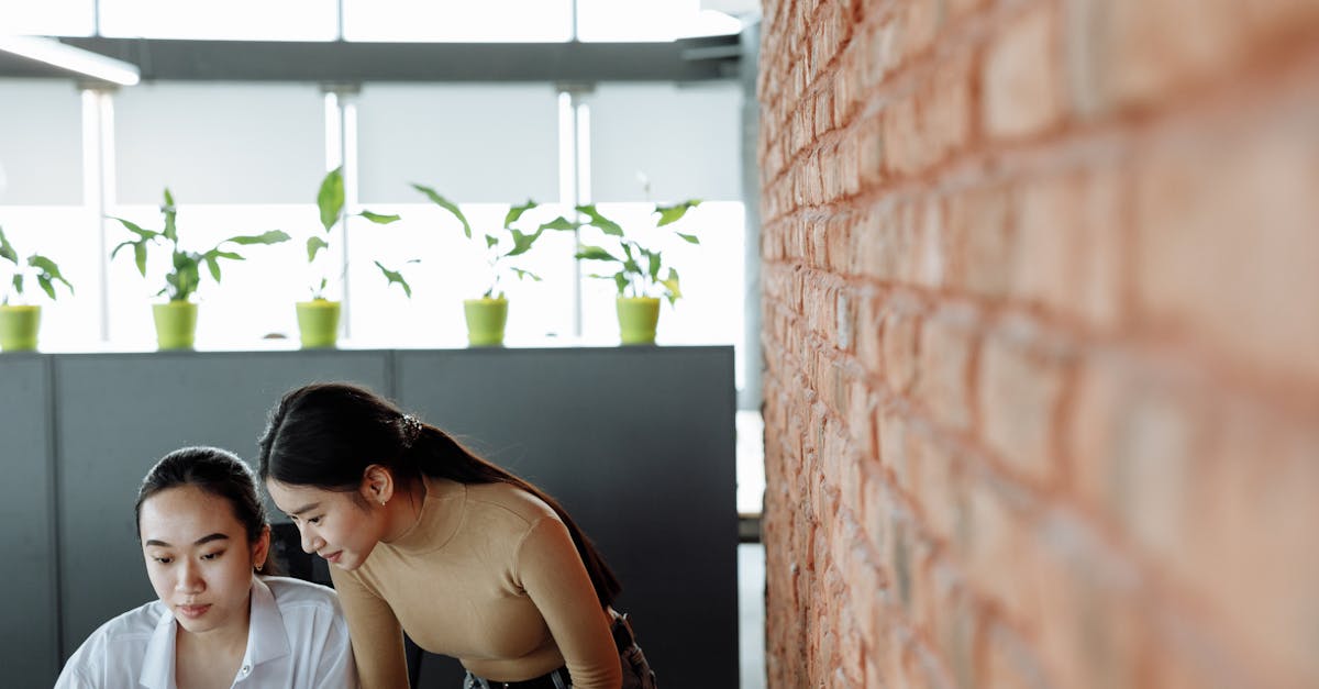 红梅花王：广州毛衣购买平台