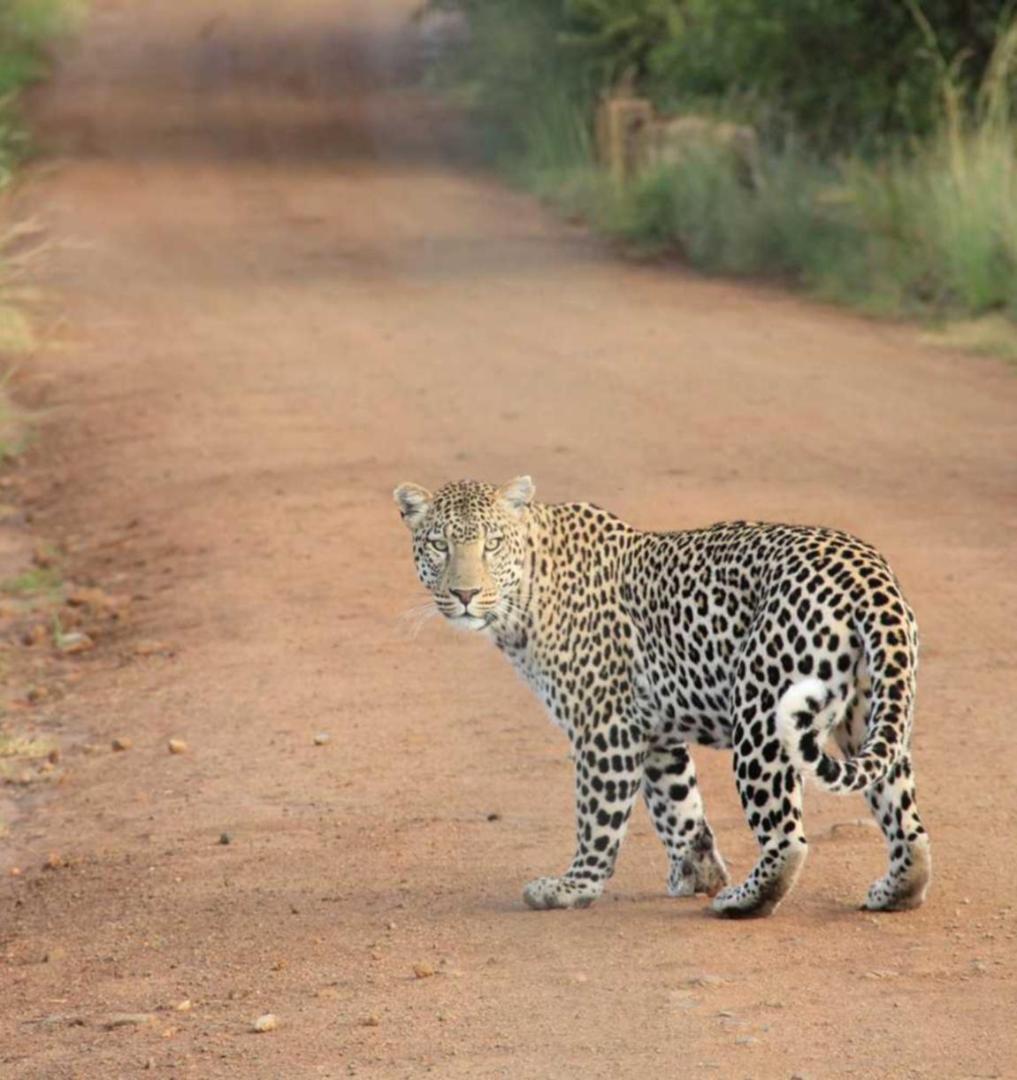 vx号买卖：短信营销典型的鉴别与避免