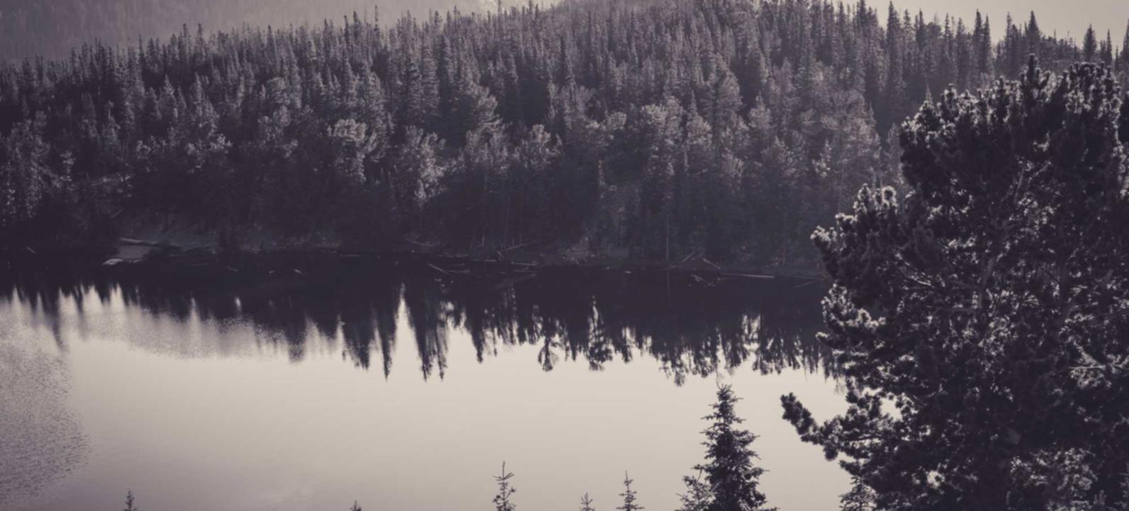 免费攻击网站|黑客攻击对金融服务机构的影响