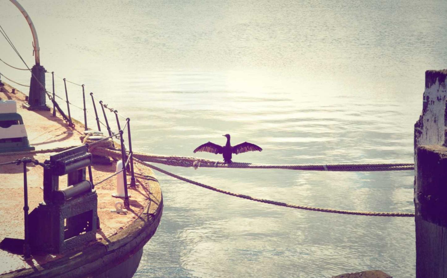 豪利时薄荷双爆珠（细）：新生儿如何注册医保账号