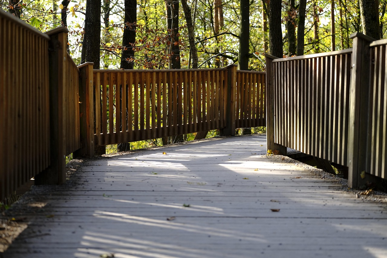 红豆电信实名账号：椰子aj购买平台