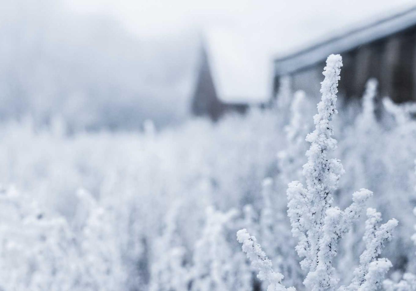 话机通信实名账号：第三方平台购买基金收费