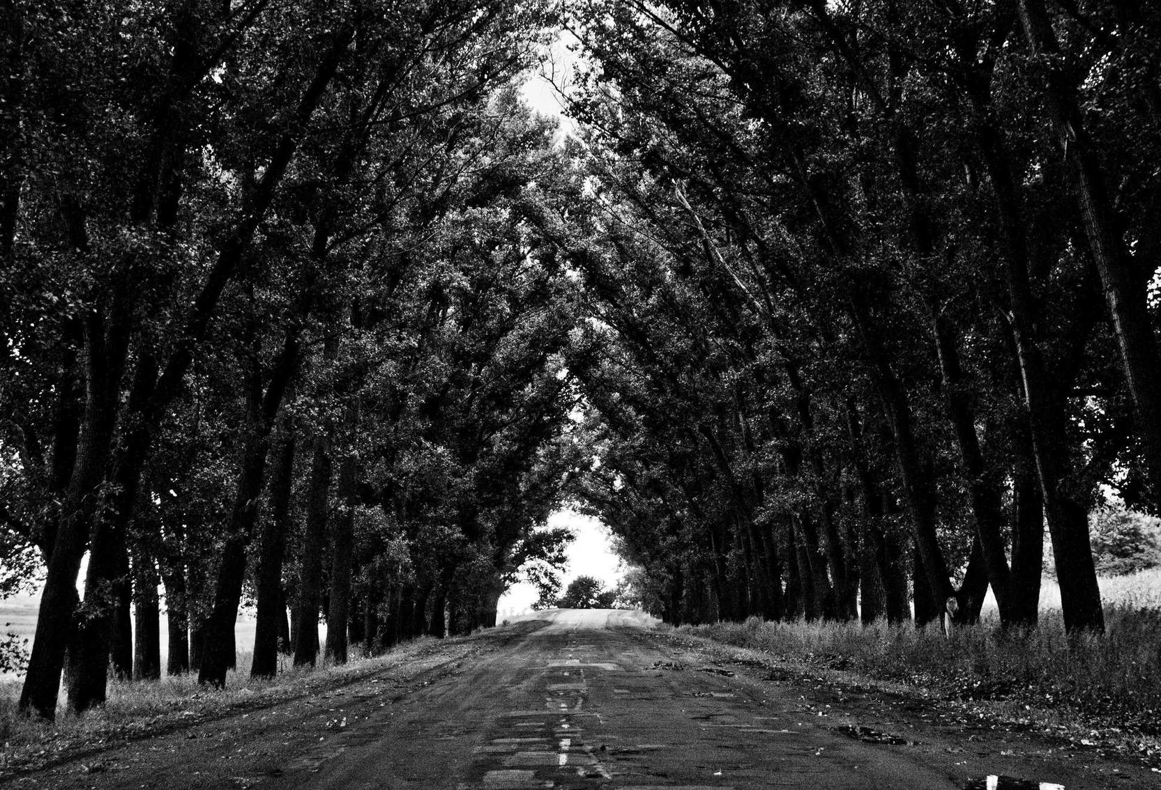 无悔华夏：中国澳门字画电商平台代理